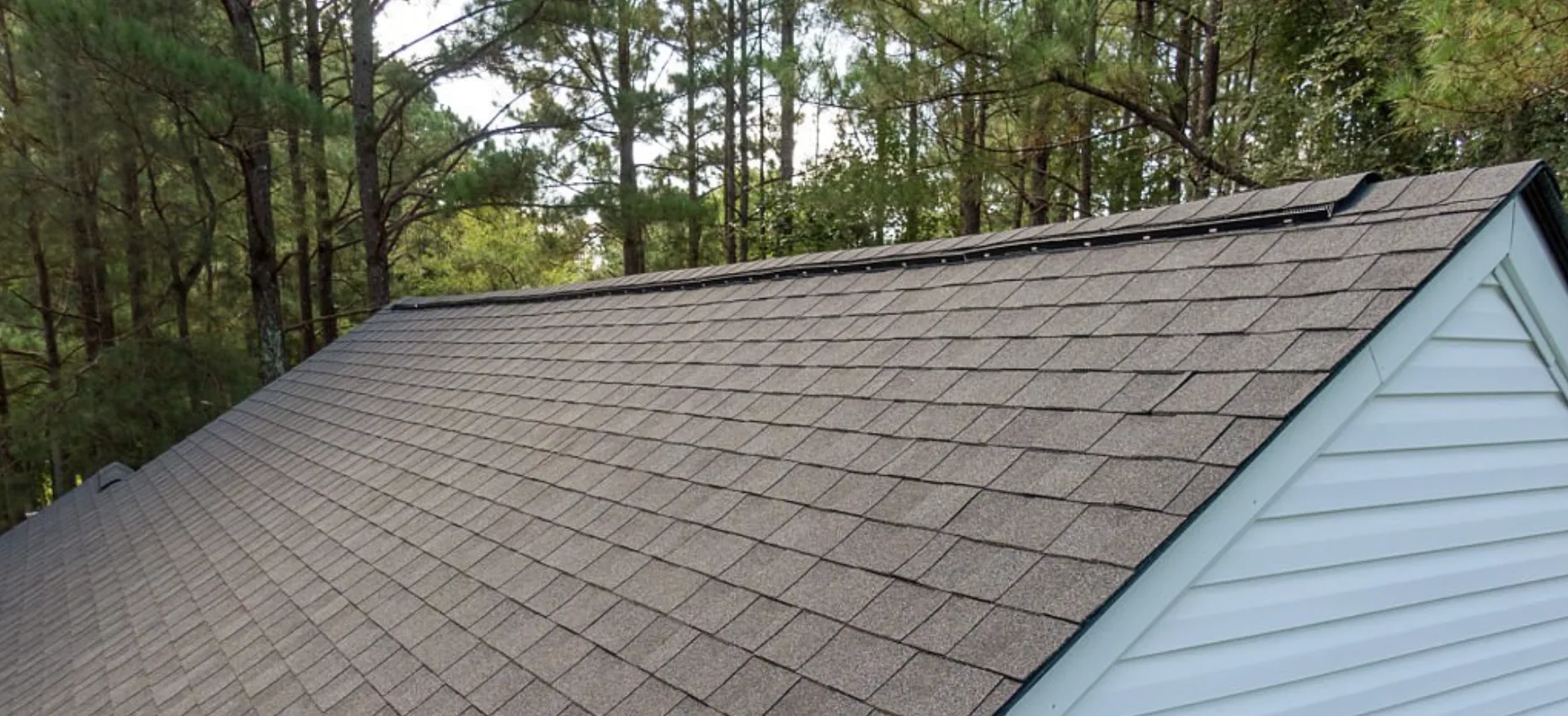 Aging asphalt shingle roof on a house with trees in the background