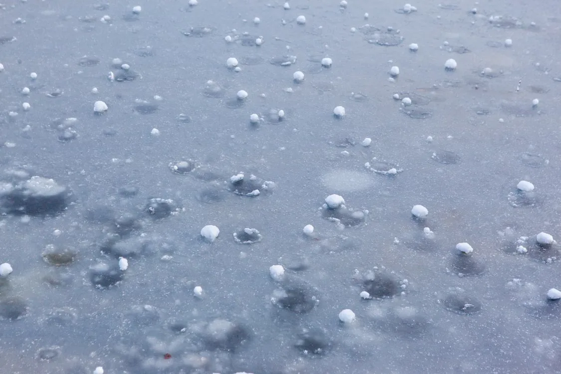Hailstones resting on ice after a storm